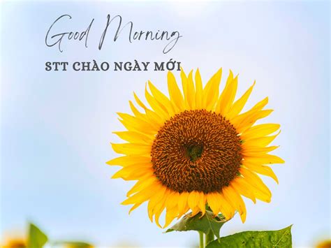 Chúc Ngày Mới Vui Vẻ Bắt Đầu Ngày Mới Với Niềm Hạnh Phúc Abettes