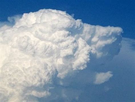 Top 10 Fluffy Clouds That Look Like Animals