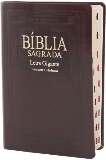 B Blia Letra Gigante Capa Luxo Marrom Nobre