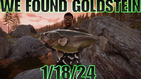 Goldstein The Legendary Fish For This Week 1 18 24 Golden Ridge