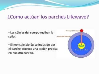 Lifewave Parches De Salud Y Bienestar Ppt