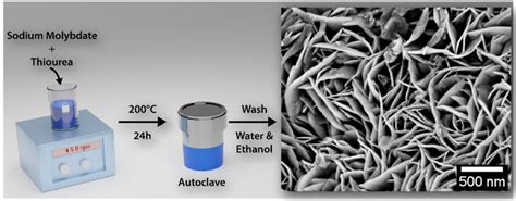 Schematic diagram of hydrothermal process. | Download Scientific Diagram