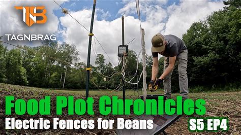 Food Plots Electric Fences For Beans Youtube