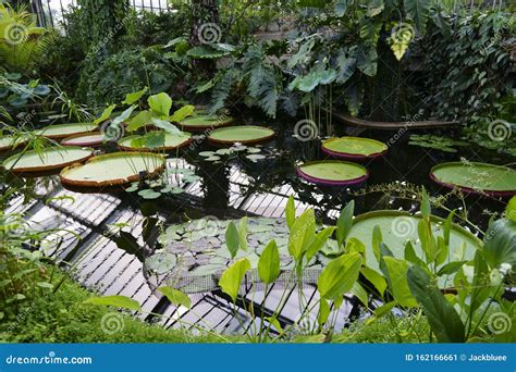 Botanical Garden in London with Green House Editorial Photo - Image of ...