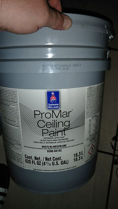 Gallon Ceiling Paint Sherwin Williams Shelly Lighting