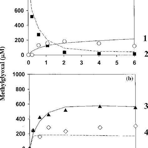 Methylglyoxal metabolism in mammalian systems. DHAP, dihydroxyacetone... | Download Scientific ...