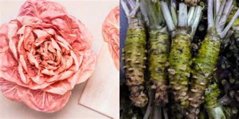 The 7 Most Expensive Vegetables In The World—one Costs 500 A Pound