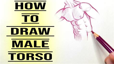 How To Draw Human Figure Drawing Male Torso Easy For Beginners Pencil Drawing Tutorial Easy