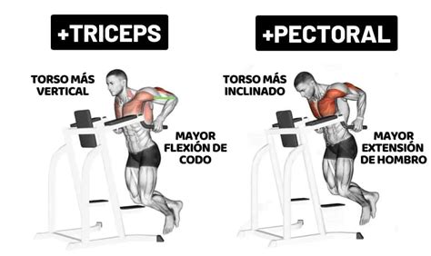 Ejercicios Fondos De Tríceps Técnica Y Beneficios Clave