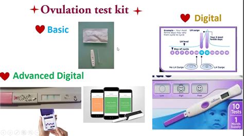 Ovulation Test Kits To Get Pregnant In Tamil Youtube