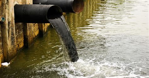 water pollution definition types  effects