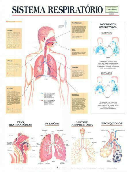 Pin De Joyce M S Em Respiratory Therapy By Joyce S Sistema