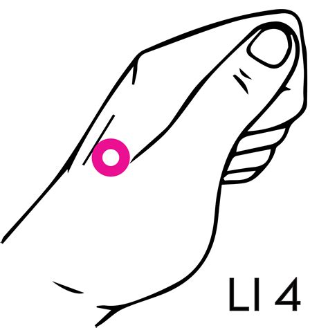LI 4 – Mend Acupuncture