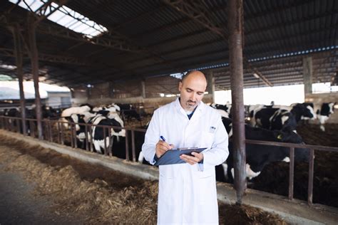 Pruebas En La Granja Y Tratamiento Selectivo De La Mastitis Clínica