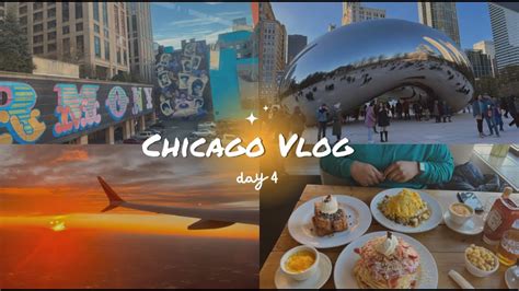 Chicago Travel Vlog Day 4 Honey Bear Cafe Chicago Bean And