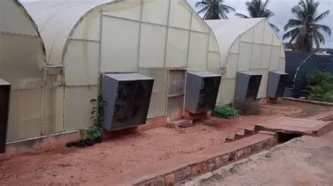 What Is Polyhouse Farming How To Get Polyhouse Farming Subsidy