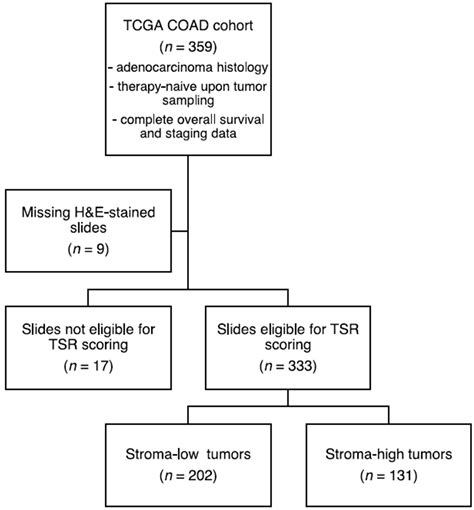 Cancers Free Full Text The Stroma Liquid Biopsy Panel Contains A