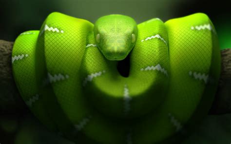 Snake 3d Max