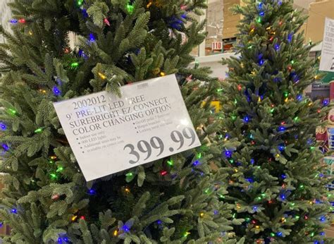 Does Costco Have Live Christmas Trees This Year