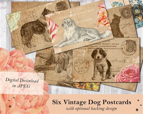 Vintage Dog and Flowers Postcards vintage dog postcards | Etsy