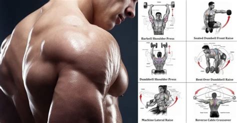 Define Your Delts With The Best Delt Exercises Devised Delts Exercise