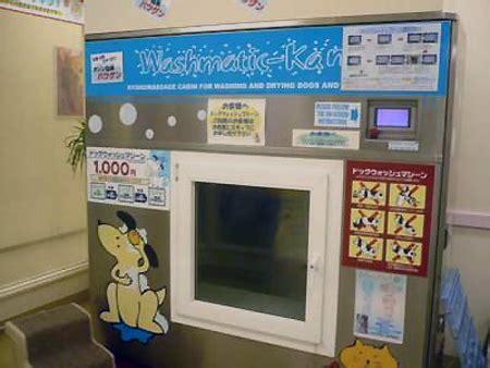 Dog Washing Machines Hit Japan - TechEBlog