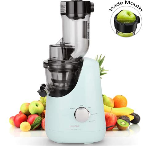 Top 10 Skg Slow Masticating Juicer Extractor - Home Gadgets