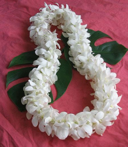 Double Hawaiian Orchid Lei Fresh From Hawaii