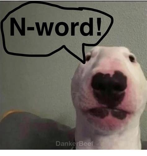 Nelson the Bull Terrier / Walter | Know Your Meme