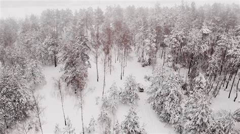 A Bridge Across The Forest River Covered In Snow Free Stock Video ...