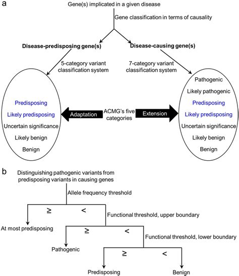 Key Components Of Our Proposed General Variant Classification Download Scientific Diagram