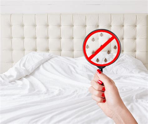 How To Protect Your Home And Property From Bed Bugs Pest Control Services