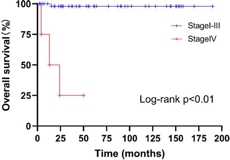 Kaplanmeier Estimate Of Overall Survival Of Patients With Stage Iiii