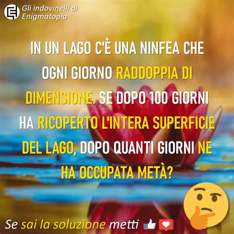 Indovinello Della Ninfea Enigmatopia Il Portale Di Enigmi Online