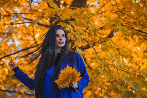 Beautiful Brunette Woman With Autumn Leaves On Fall Nature Background Stock Photo Image Of