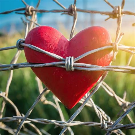 Premium Photo Red Heart Symbol Wrapped In Barbed Wire Fence