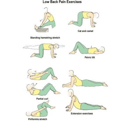 Back Strengthening Exercises Lower Back Strengthening Exercises For