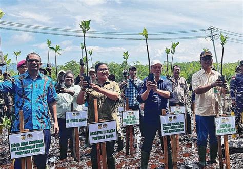 Pemerintah Susun Tata Kelola Ekosistem Mangrove