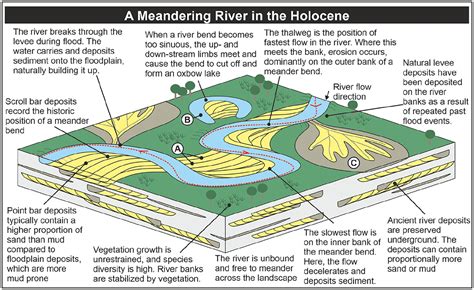 Natural Levee Diagram