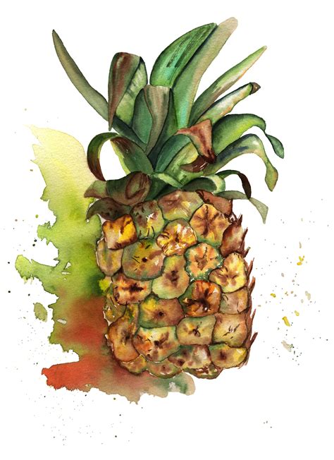 Watercolor Pineapple Poster On Behance