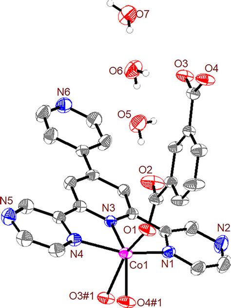 Coordination Environment Of The Co Ii Ion In Title Compound