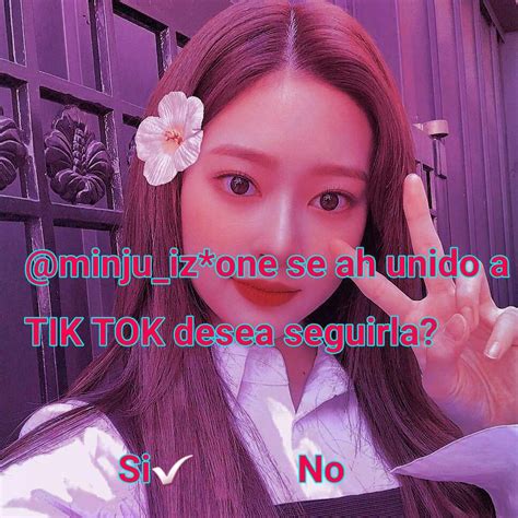 Tik Tok Wiki ♡roll De Kpop♡ Amino