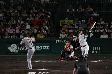 写真・図版（1枚目） 阪神優勝の背景にドラフト戦略 「他球団が指名回避の選手」が大ブレーク Aera Dot アエラドット