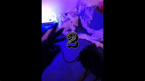 Mysterious Explicite Nude Tiktok Video Appears On Your Homepage Xxx Mobile Porno Videos