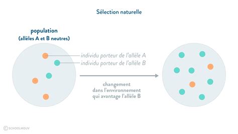 Variation Naturelle Et Impact Humain Cours Seconde Svt