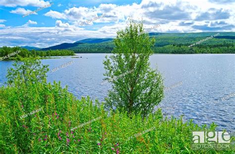 europe sweden jämtland province härjedalen lake at fjällnäs Stock