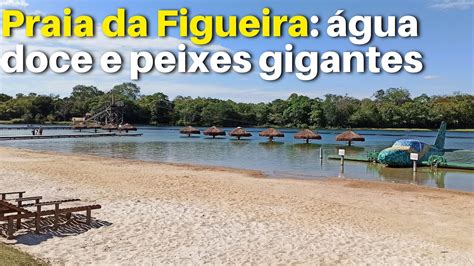 Praia Da Figueira Bonito Ms Ag Ncia Bonito Eco Tour