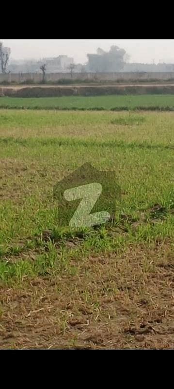 Agricultural Land And Agriculture Plots For Sale In Lahore Pg