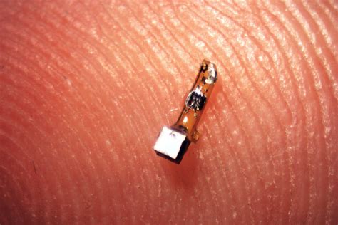 Tiny Neural Dust Sensors May Help Scientists Monitor Your Nerves In