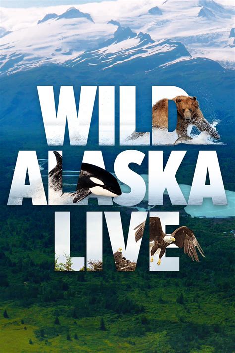 Wild Alaska Live | Programs | PBS SoCal